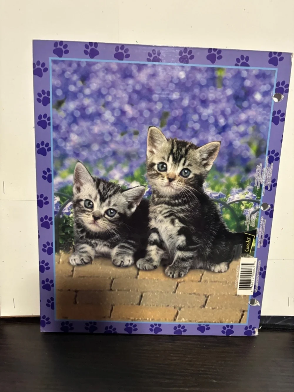 Cat/ Kitten Folder Bundle